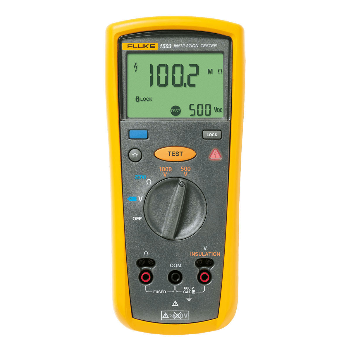 Fluke 1503 1000V Insulation Resistance Tester