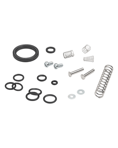 Collection of springs, bolts, and O-rings displayed as parts of hydraulic pump repair kit 