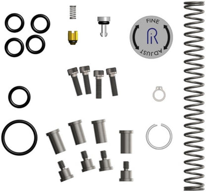 Ralston DPPV-REPK pressure pump repair kit including springs